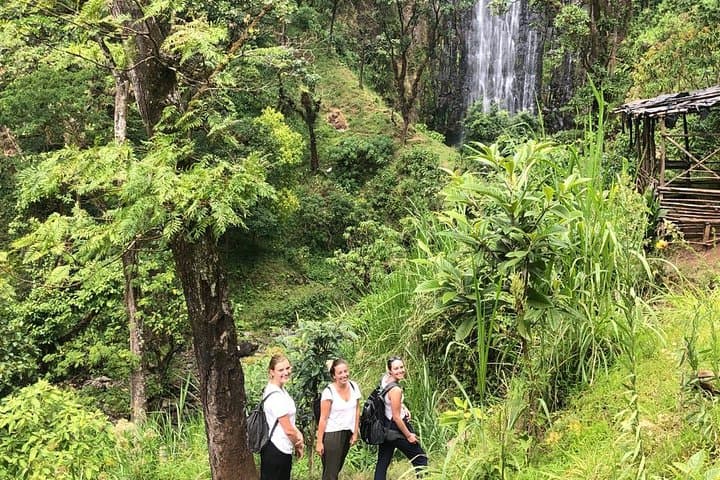 Hike to Materuni Waterfalls — Chagga Village Walk and Kilimanjaro Views photo 2
