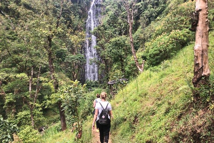 Hike to Materuni Waterfalls — Chagga Village Walk and Kilimanjaro Views photo 6