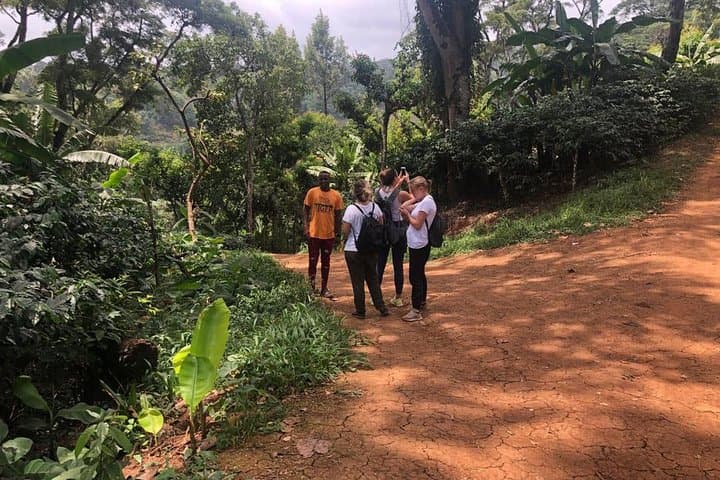 Hike to Materuni Waterfalls — Chagga Village Walk and Kilimanjaro Views photo 4