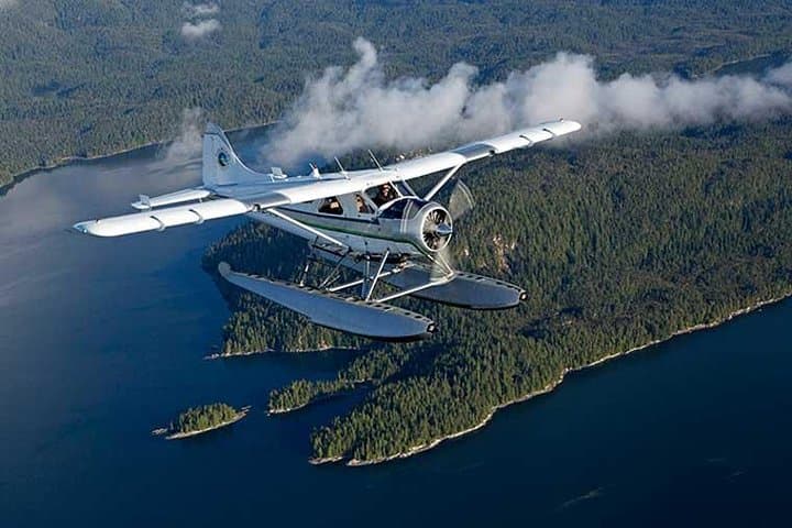 Prince of Wales Island Bear-Viewing by Air from Ketchikan: Dog Salmon Creek Flight Tour photo 4
