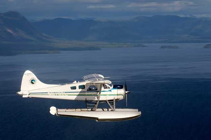 Prince of Wales Island Bear-Viewing by Air from Ketchikan: Dog Salmon Creek Flight Tour photo 2