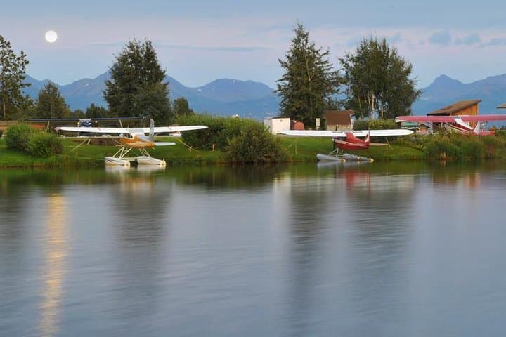 Glaciers, Wildlife, and the Seward Highway: A One-Day Alaska Discovery from Anchorage photo 5