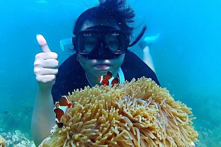 Bintan Snorkeling Tour: Kelong Platforms, White Sand Islands & Guided Reef Snorkel photo 4