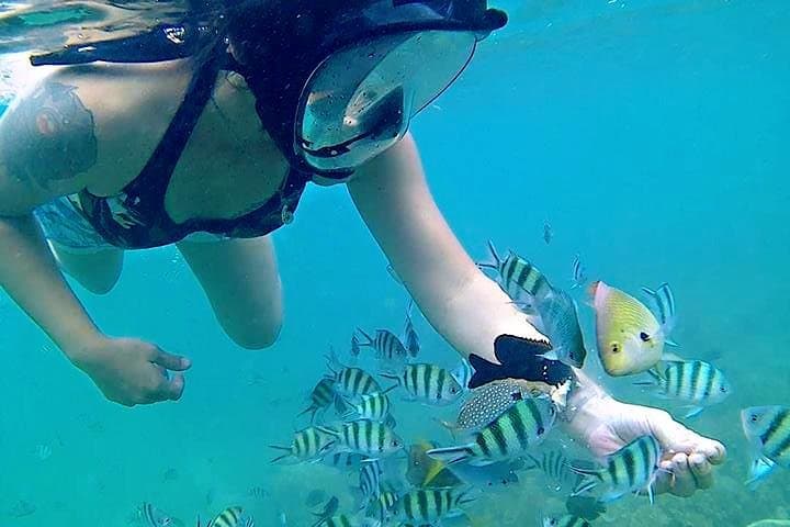Bintan Snorkeling Tour: Kelong Platforms, White Sand Islands & Guided Reef Snorkel photo 5
