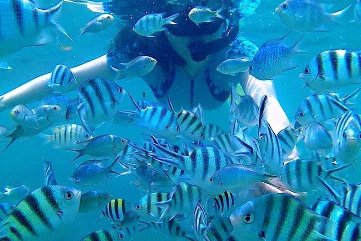 Bintan Snorkeling Tour: Kelong Platforms, White Sand Islands & Guided Reef Snorkel photo 6