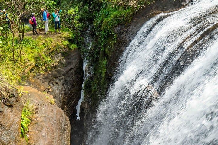 4-Day Amazon Jungle Adventure from Bogotá to Caño Cristales photo 3