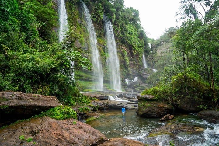 4-Day Amazon Jungle Adventure from Bogotá to Caño Cristales photo 5