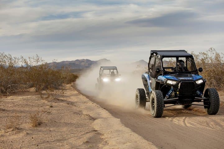 Guided Mojave Desert RZR Adventure from Las Vegas: Off-Road Trails & Joshua Tree Views photo 4