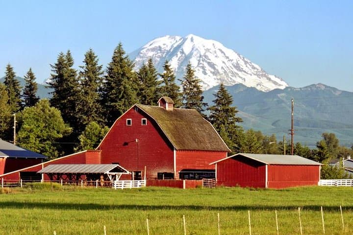 Private Mt Rainier Day Trip from Seattle — Narada Falls, Paradise & Reflection Lake photo 3