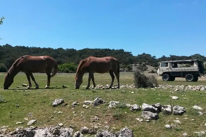 Explore Brac by 4WD: Vidova Gora, Škrip & Zlatni Rat with Local Tastings photo 2
