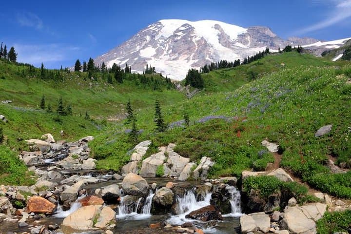 Private Mt Rainier Day Trip from Seattle — Narada Falls, Paradise & Reflection Lake photo 5