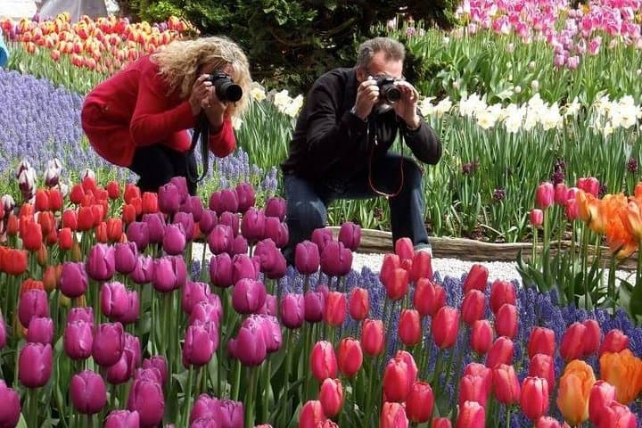 Skagit Valley Tulip Festival Day Trip from Seattle — Practical Guide to Roozengaarde & La Conner photo 2