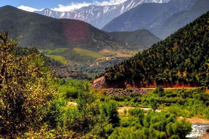 Ourika Valley Day Trip from Marrakech — Waterfalls, Berber Villages & Tagine Lunch photo 4