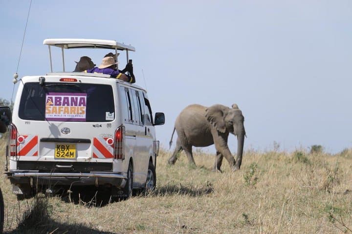 3-Day Masai Mara Safari: Game Drives, Maasai Culture & Rift Valley Views