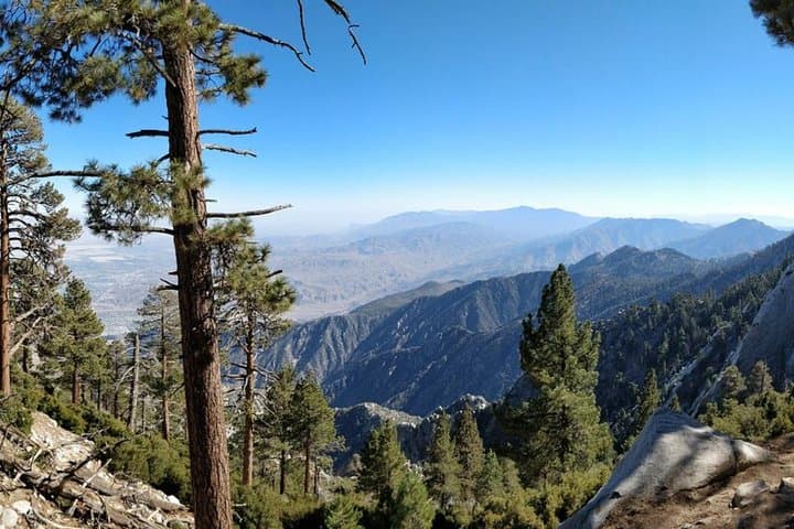 Palm Springs Aerial Tramway: Ride From Desert Floor to San Jacinto Summit photo 2