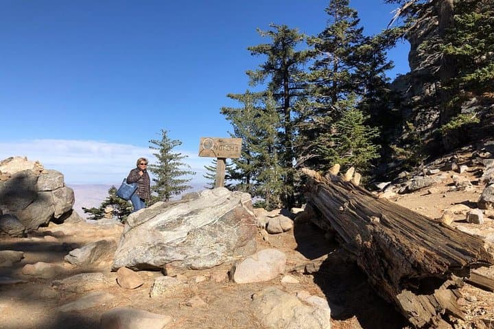 Palm Springs Aerial Tramway: Ride From Desert Floor to San Jacinto Summit photo 4