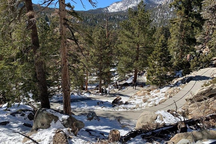 Palm Springs Aerial Tramway: Ride From Desert Floor to San Jacinto Summit photo 6
