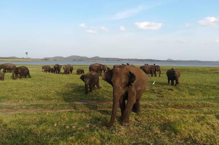 Custom Sri Lanka Tours & Private Transport — Tailored Day Trips from Colombo photo 2