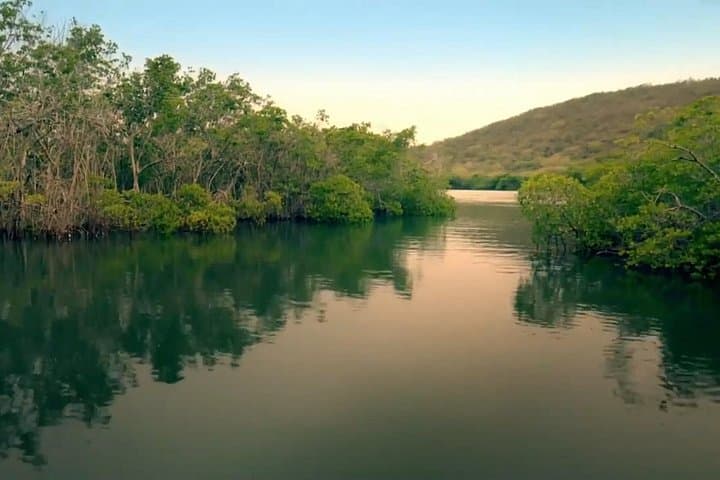 La Parguera Bio Bay & Rum Tasting from San Juan — Night Boat Tour photo 1