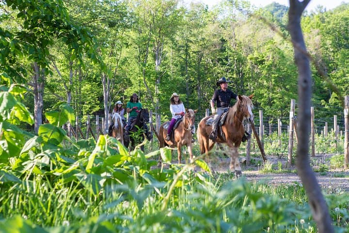 Horseback Riding Near Sapporo: Wild Mustang Trails at Mt. Hakken photo 6