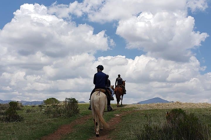 Half-Day Horseback Ride Through Sacsayhuamán: Peruvian Paso Experience photo 6