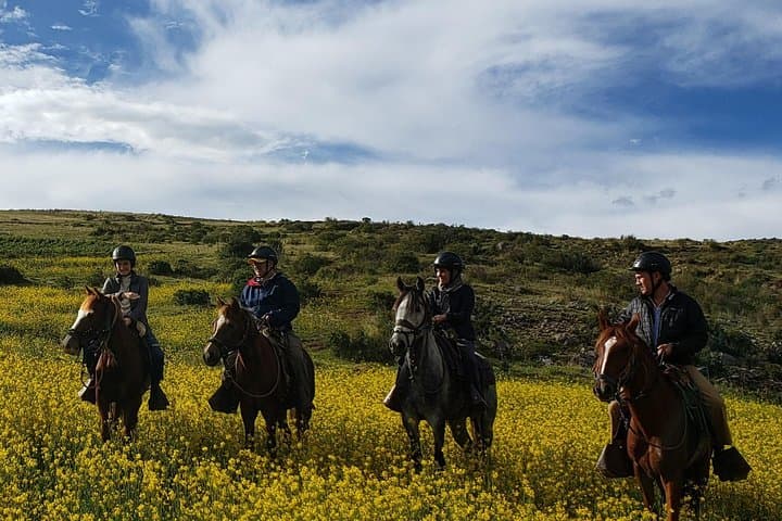 Cusco Peruvian Paso Horseback Ride to the Temple of the Moon photo 2