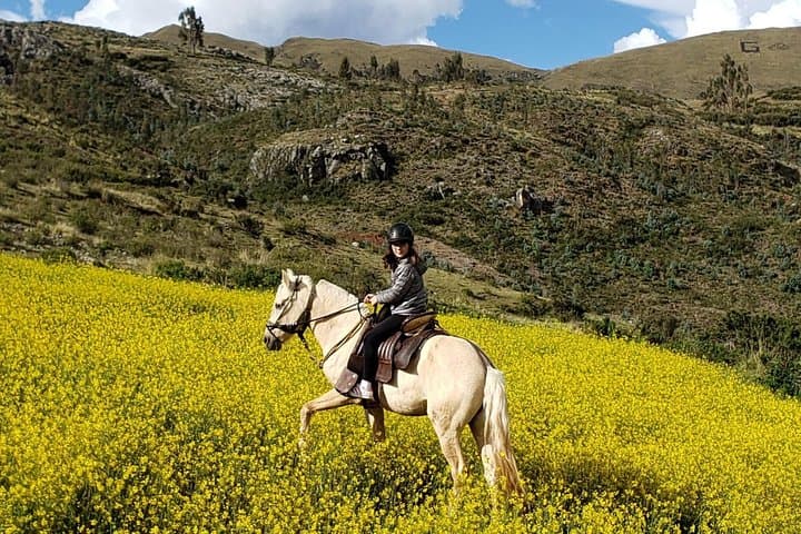 Cusco Peruvian Paso Horseback Ride to the Temple of the Moon photo 4
