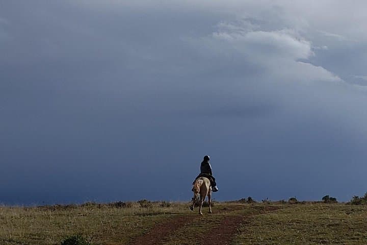 Full-Day Horseback Riding Around Cusco: Ride Past Q'enqo & Andean Forests photo 5