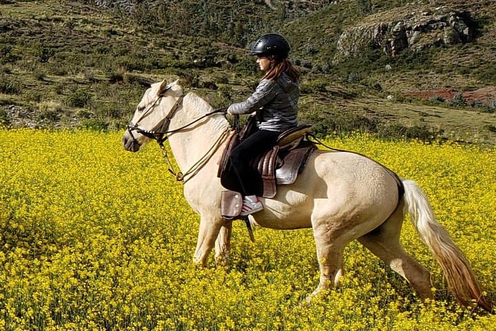 Full-Day Horseback Riding Around Cusco: Ride Past Q'enqo & Andean Forests photo 2