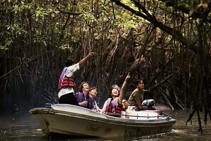 Langkawi Mangrove Forest Tour: Kilim Geoforest Boat Adventure