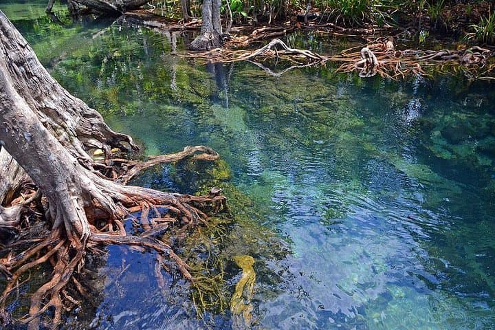 Langkawi Mangrove Forest Tour: Kilim Geoforest Boat Adventure photo 4