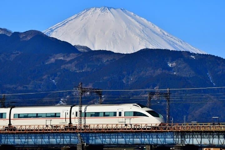 Private Hakone Walking Tour: Lake Ashi, Owakudani, Hakone Shrine & Open-Air Museum photo 3