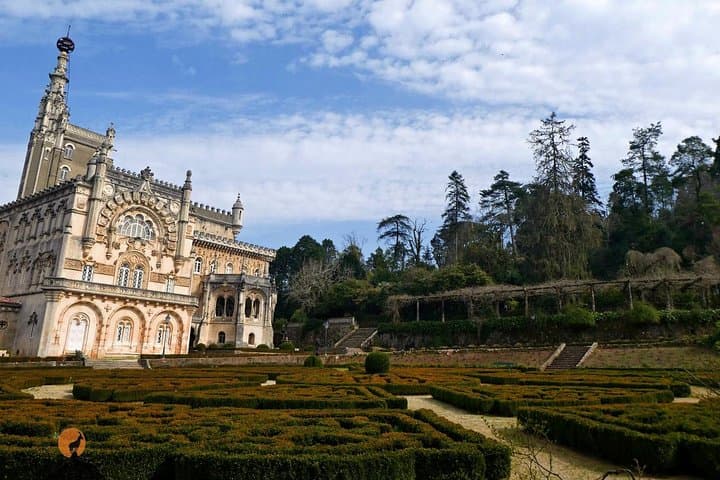 Explore Bussaco National Forest and Palace: 4-Hour Guided Walk from Coimbra photo 6