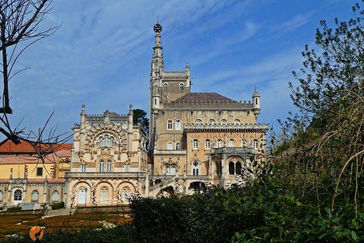 Aliança Underground Museum and Buçaco Forest Day Trip from Coimbra