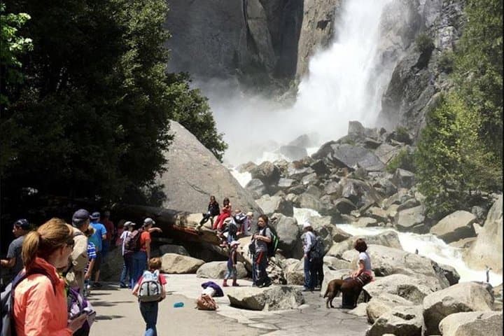 Yosemite in a Day: From San Francisco to Giant Sequoias and Valley Icons
