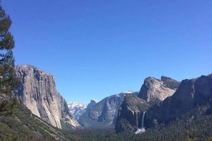 Yosemite in a Day: From San Francisco to Giant Sequoias and Valley Icons photo 6