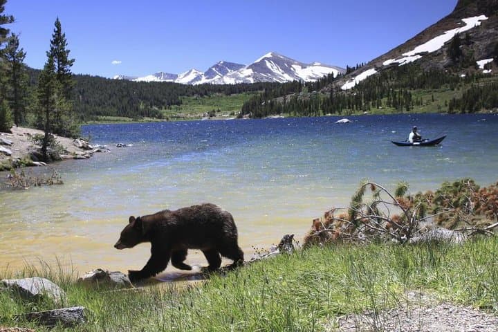 Yosemite in a Day: From San Francisco to Giant Sequoias and Valley Icons photo 3