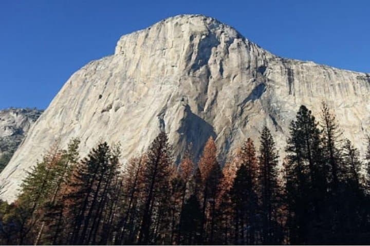 Yosemite in a Day: From San Francisco to Giant Sequoias and Valley Icons photo 5