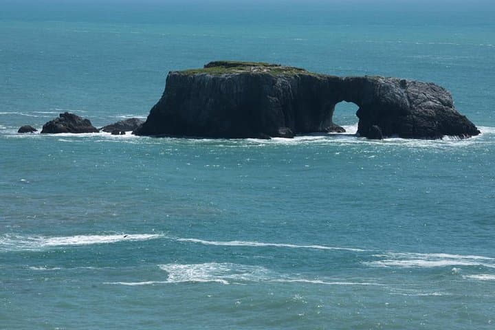 Redwoods, Coastal Views & Sausalito: Day Trip from San Francisco photo 4