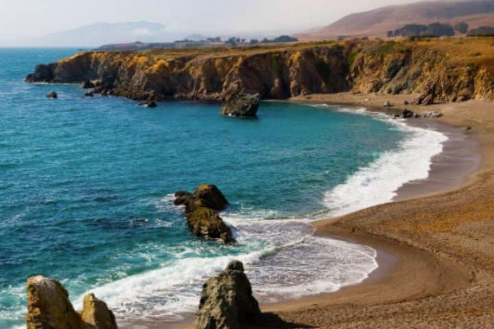 Redwoods, Coastal Views & Sausalito: Day Trip from San Francisco photo 5