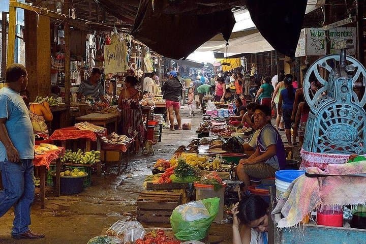 Belen Market & Floating City Private Tour — Iquitos Amazon Morning Experience photo 5