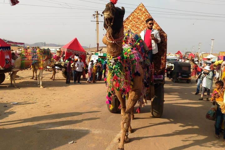 Full-Day Jaisalmer Sightseeing: Fort, Havelis & Thar Desert Camel Ride photo 6