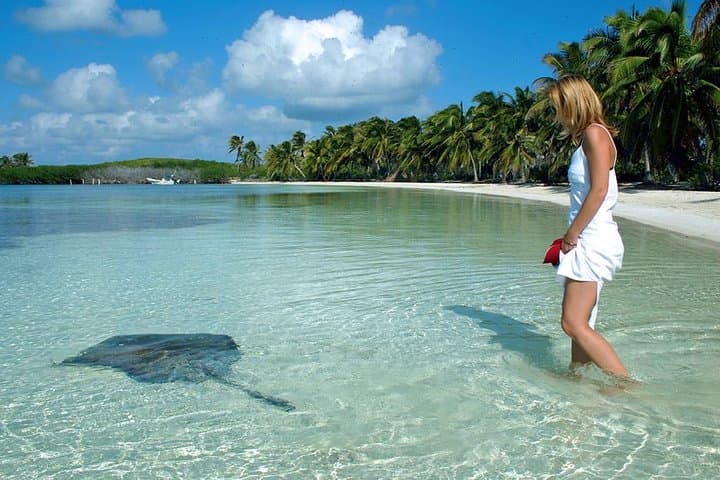 Isla Contoy and Isla Mujeres Catamaran Tour from Cancun — Snorkel Pristine Reefs & Beaches photo 3