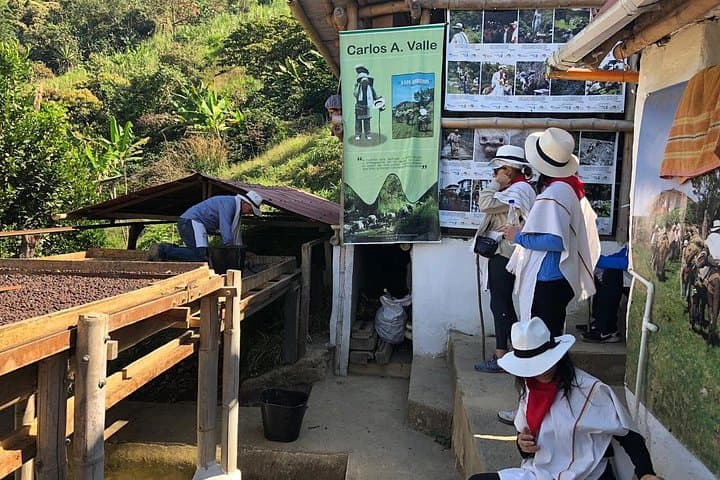 Palmitas Coffee Farm Experience: Horseback, Roast and Rural Views from Medellín photo 2