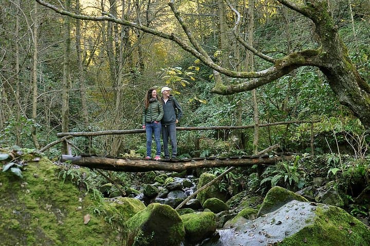 Hike Mtirala National Park from Batumi — Private Chestnut Trail Tour photo 4