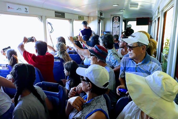 Rio de Janeiro Private Day Tour: Christ the Redeemer, Sugarloaf & Santa Teresa photo 3
