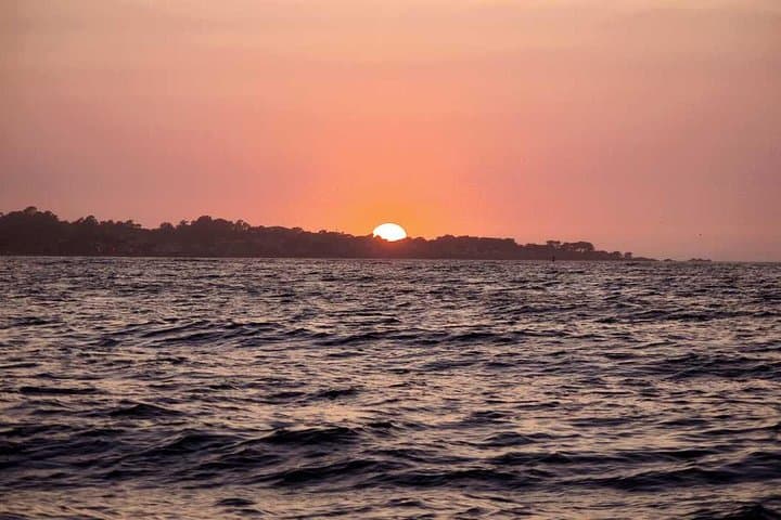 Sunset Sailing Cruise in Monterey Bay: 90-Minute Wildlife & Wind-Powered Sail