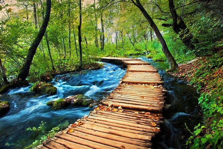 Plitvice Lakes Day Trip from Dubrovnik — Private Tour to Croatia’s Waterfall Park photo 3
