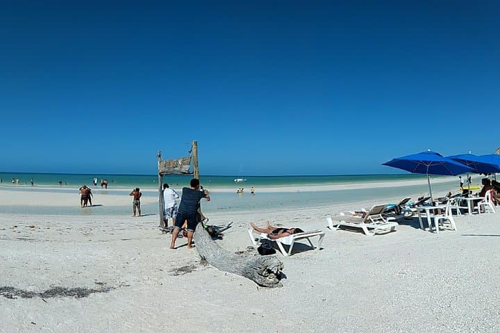 Isla Holbox Day Trip from Cancún — All-Inclusive Tour to Yalahau, Bird Island & Punta Mosquito photo 3