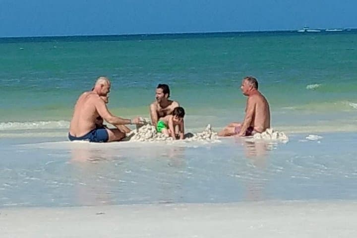 Isla Holbox Day Trip from Cancún — All-Inclusive Tour to Yalahau, Bird Island & Punta Mosquito photo 4